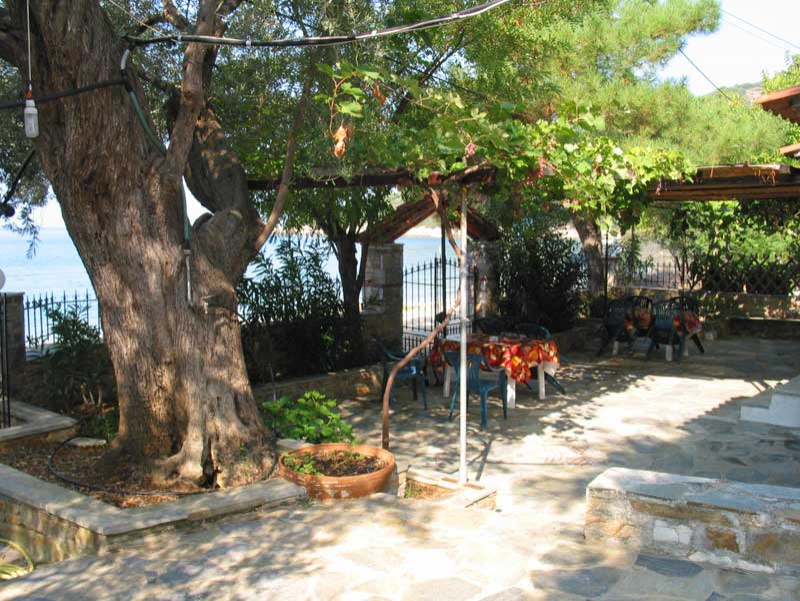 Garten and sea view exterior view