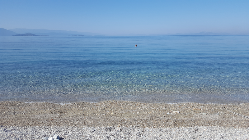 The beach infront of the property
