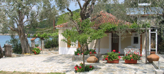 Niki Studios