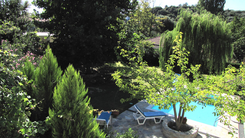 pool