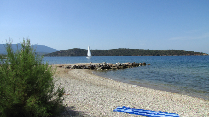 the beach in front of the house