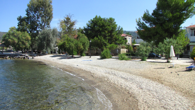 Beach in front of the house
