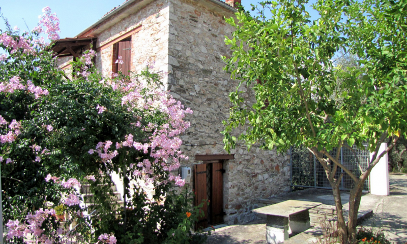 exterior view