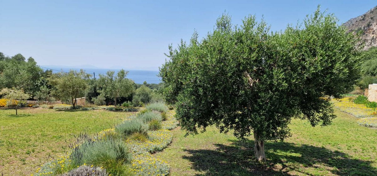 Five Villas in Plataria