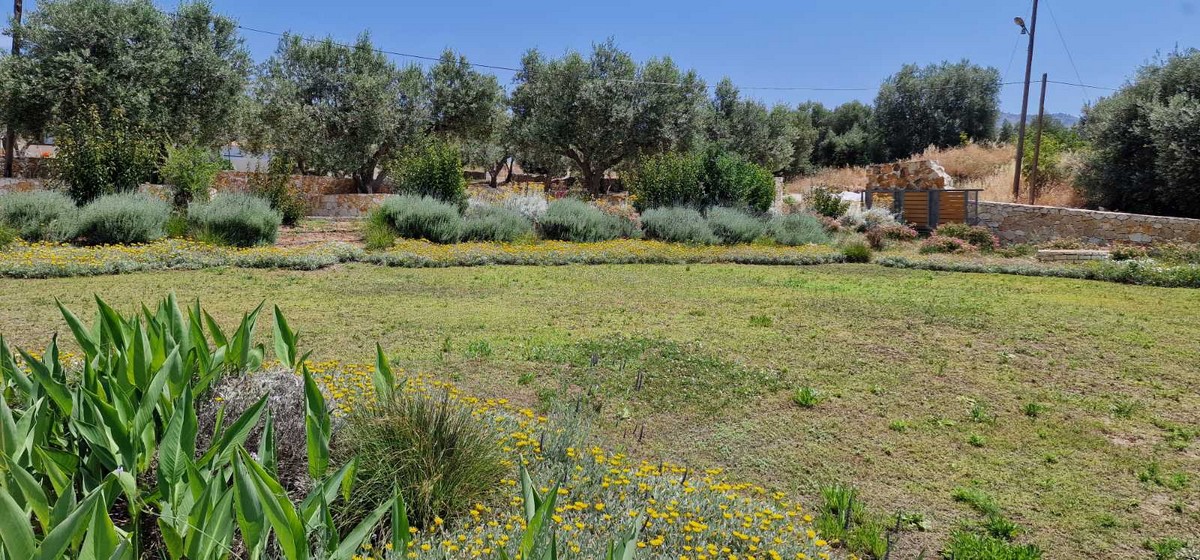 Five Villas in Plataria