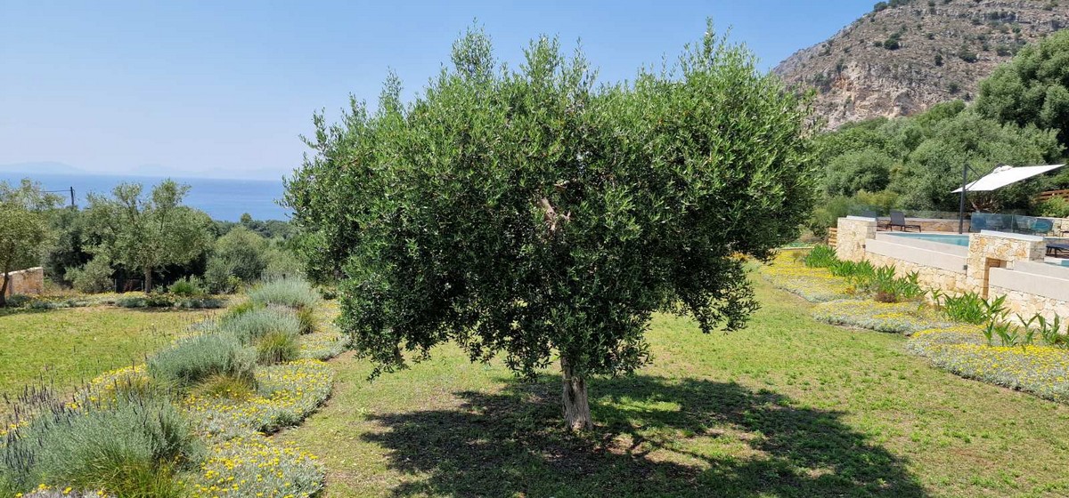 Five Villas in Plataria